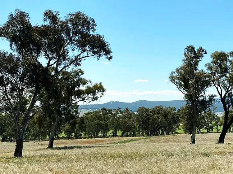 Second view of Homely rural property listing, Lot 125, 1488 Mutton Falls Road, O'connell NSW 2795