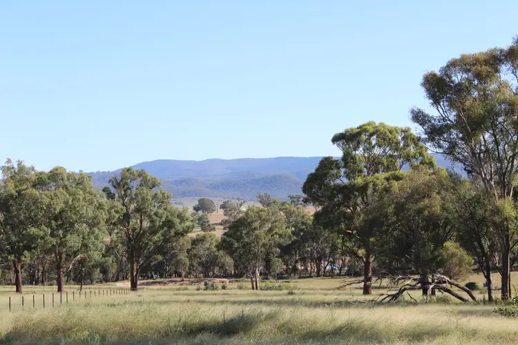 Third view of Homely rural property listing, Lot 125, 1488 Mutton Falls Road, O'connell NSW 2795