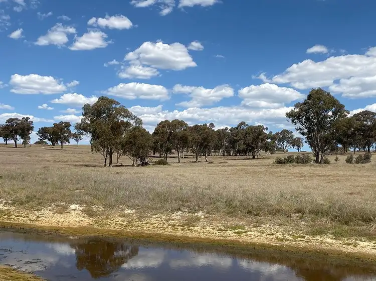 Fourth view of Homely rural property listing, Lot 125, 1488 Mutton Falls Road, O'connell NSW 2795