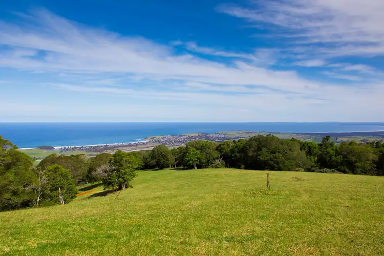 Fifth view of Homely rural property listing, 459 Saddleback Mountain Road, Kiama NSW 2533
