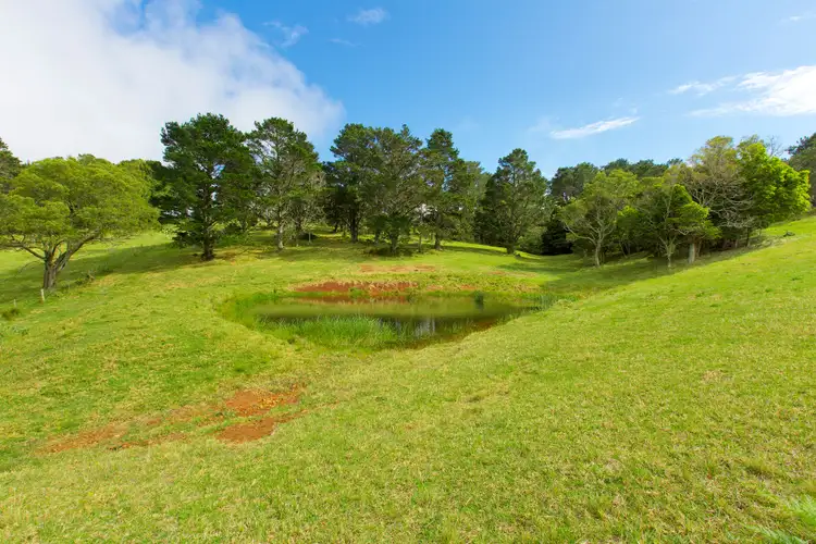 Seventh view of Homely rural property listing, 459 Saddleback Mountain Road, Kiama NSW 2533