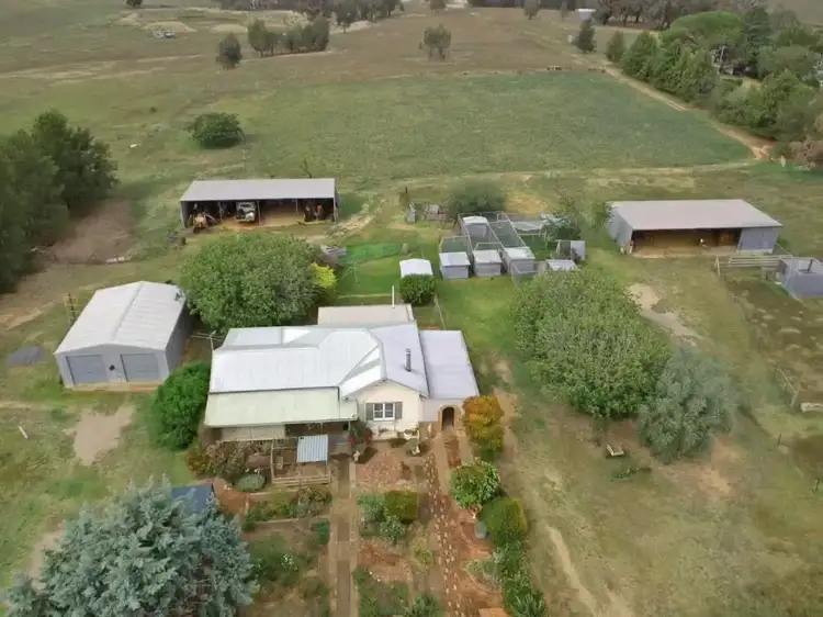 93 Prunevale Road Kingsvale, Young NSW 2594