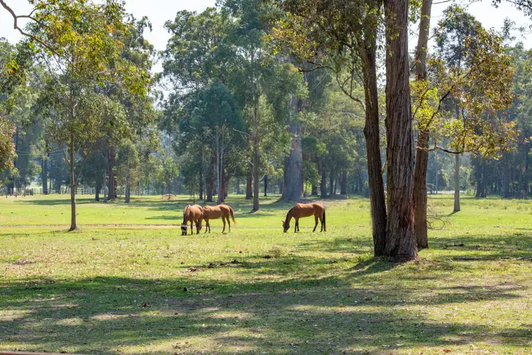 Second view of Homely rural property listing, 735 Mandalong Road, Mandalong NSW 2264