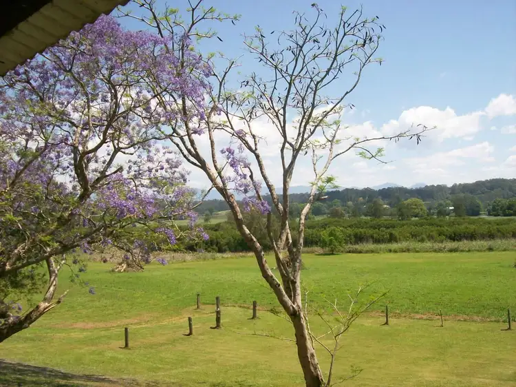 Third view of Homely house listing, 534 Waterfall Way Fernmount, Bellingen NSW 2454