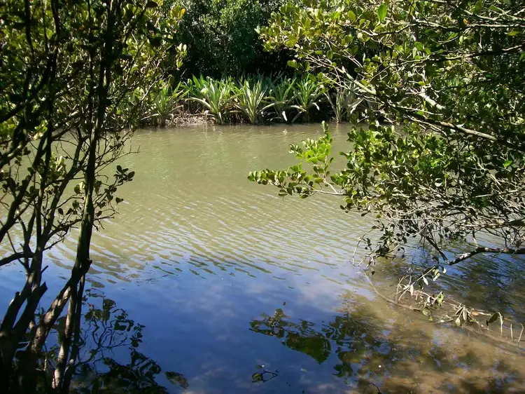 Fourth view of Homely house listing, 534 Waterfall Way Fernmount, Bellingen NSW 2454