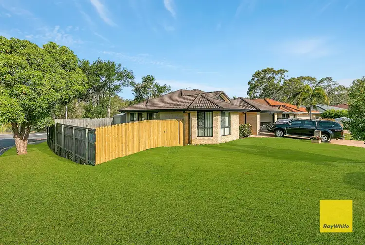 17 Kerder Street, Thornlands QLD 4164