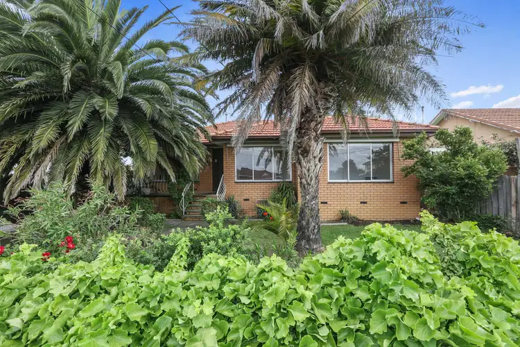 Main view of Homely house listing, 113 Cox Road, Norlane VIC 3214