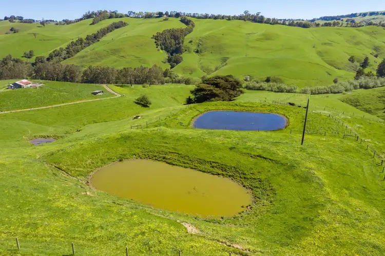 Fourth view of Homely rural property listing, 156 Fitzgeralds Road, Arawata VIC 3951