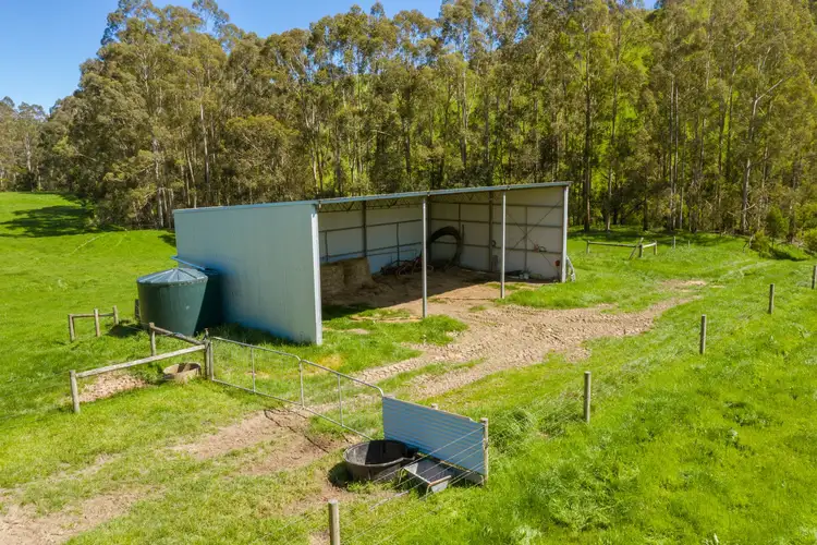 Fifth view of Homely rural property listing, 156 Fitzgeralds Road, Arawata VIC 3951