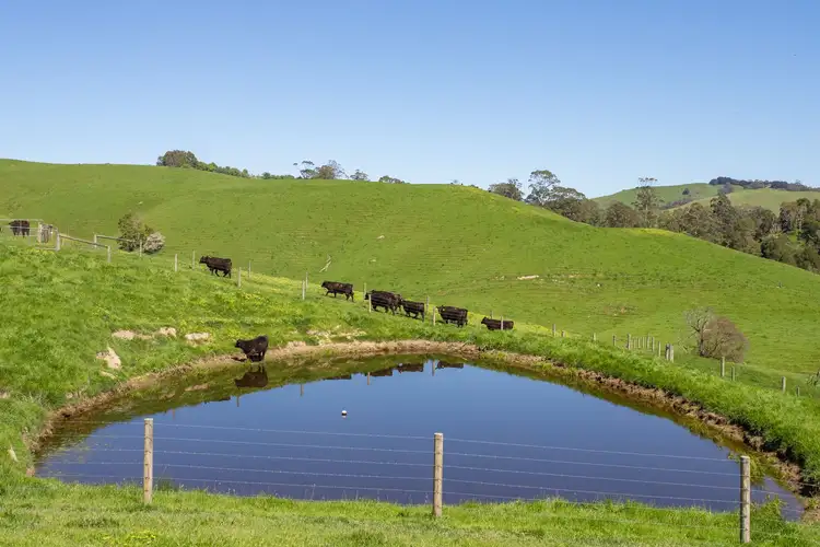Seventh view of Homely rural property listing, 156 Fitzgeralds Road, Arawata VIC 3951
