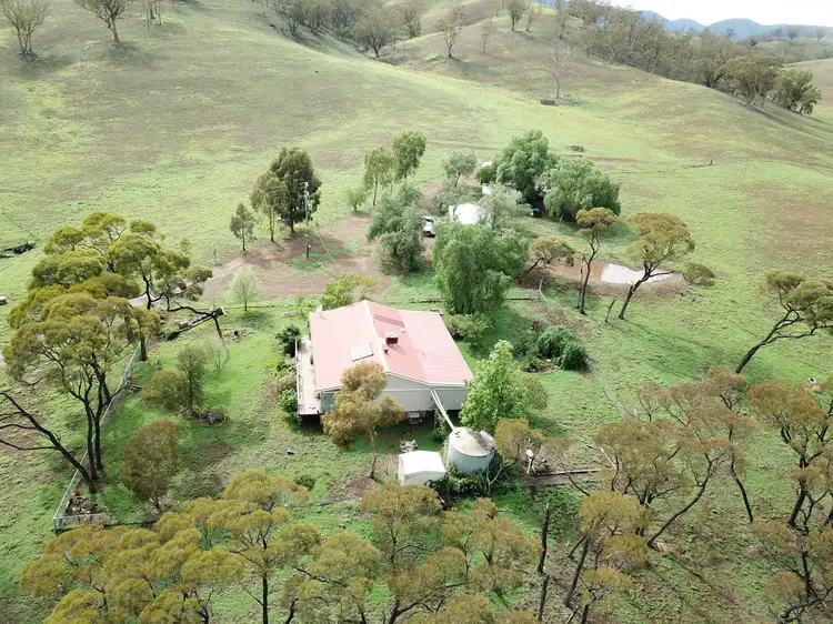 Main view of Homely rural property listing, 320 Wisemans Arm Road, Tamworth NSW 2340