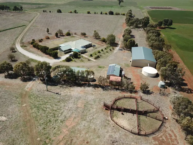 Main view of Homely rural property listing, "Holbrook" 520 Burgmanns Lane, Tamworth NSW 2340