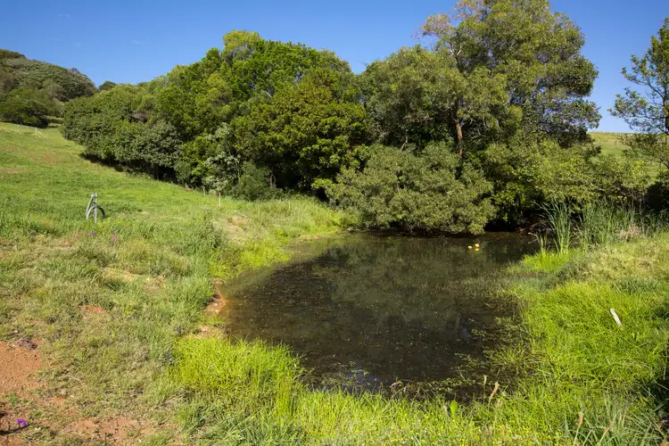 Fourth view of Homely rural property listing, Lot 2 Wallaby Hill Road, Jamberoo NSW 2533
