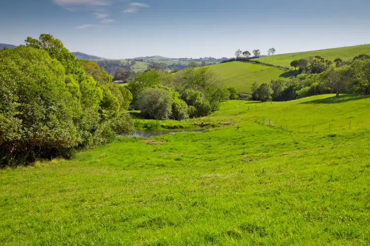 Fifth view of Homely rural property listing, Lot 2 Wallaby Hill Road, Jamberoo NSW 2533