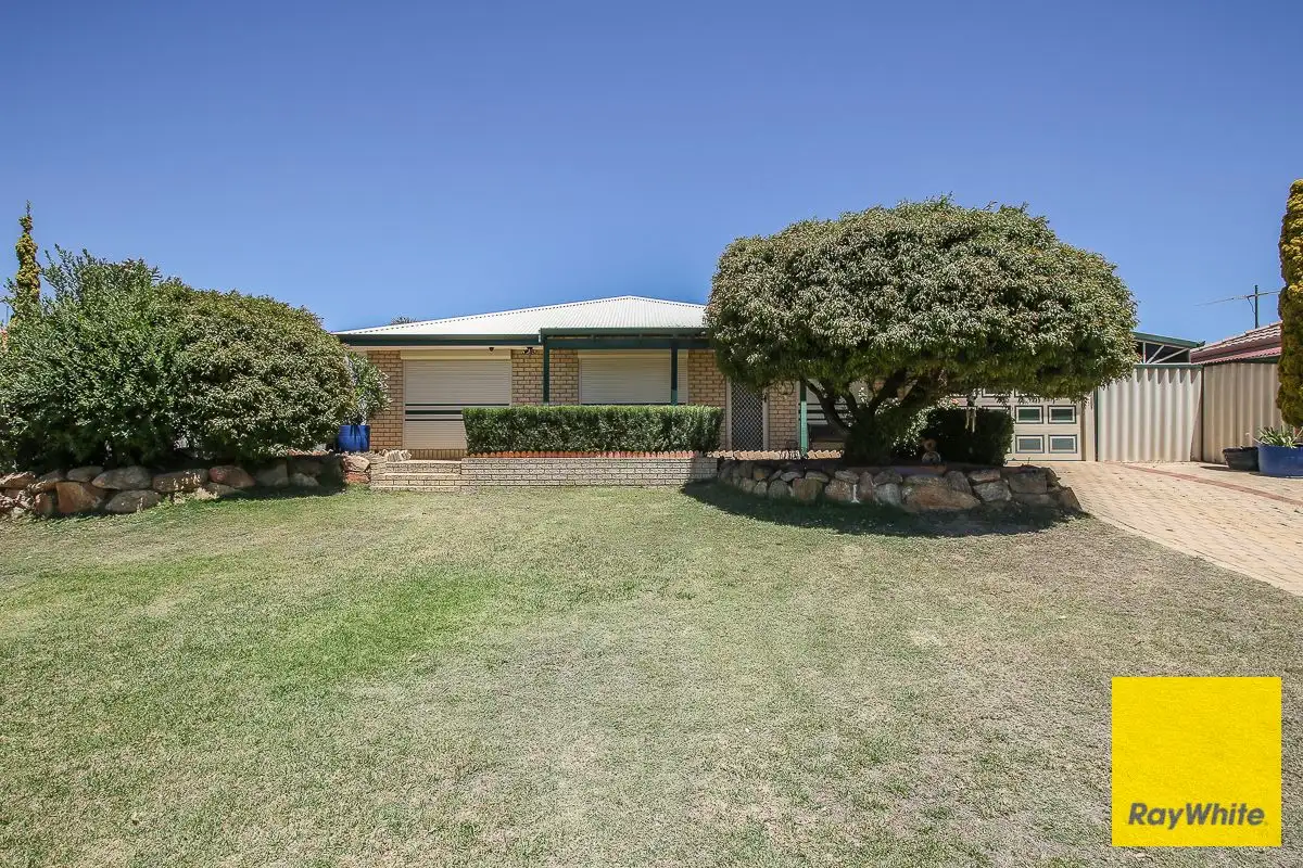 Main view of Homely house listing, 102 Aldersea Circle, Clarkson WA 6030