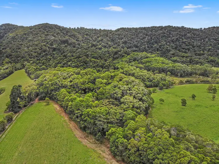 Second view of Homely land listing, Lot 1 Lavers Road, Daintree QLD 4873
