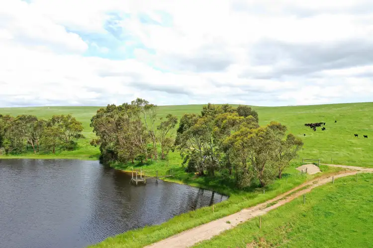 Second view of Homely rural property listing, 1949 Cobden-Port Campbell Road, Newfield VIC 3268