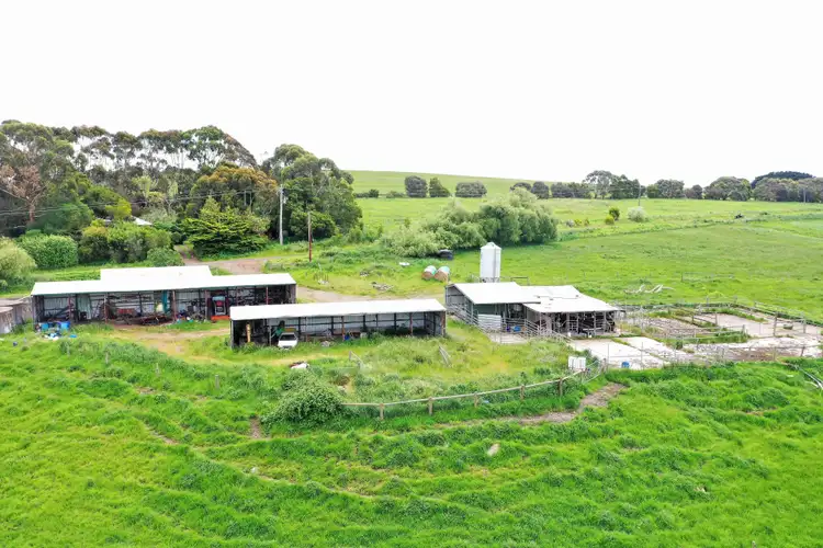 Fourth view of Homely rural property listing, 1949 Cobden-Port Campbell Road, Newfield VIC 3268
