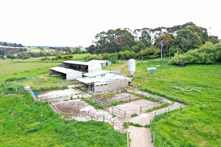 Fifth view of Homely rural property listing, 1949 Cobden-Port Campbell Road, Newfield VIC 3268