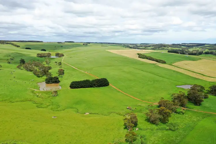 Sixth view of Homely rural property listing, 1949 Cobden-Port Campbell Road, Newfield VIC 3268
