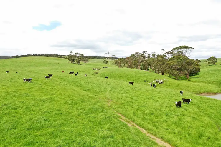 Seventh view of Homely rural property listing, 1949 Cobden-Port Campbell Road, Newfield VIC 3268
