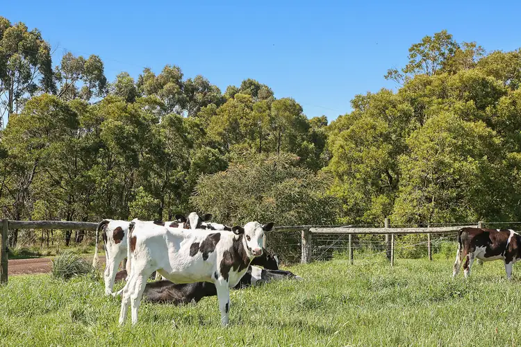 Third view of Homely house listing, 119 Cobden-South Ecklin Road, Cobden VIC 3266