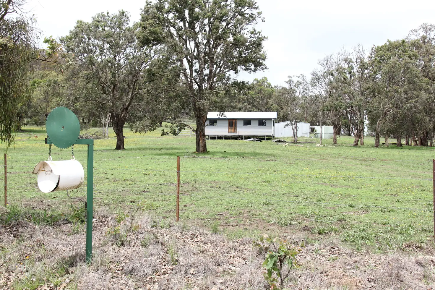 Main view of Homely rural property listing, 1704 Bald Rock Road, Tenterfield NSW 2372