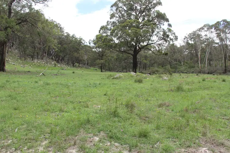 Second view of Homely rural property listing, 1704 Bald Rock Road, Tenterfield NSW 2372