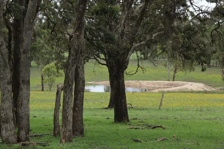 Third view of Homely rural property listing, 1704 Bald Rock Road, Tenterfield NSW 2372
