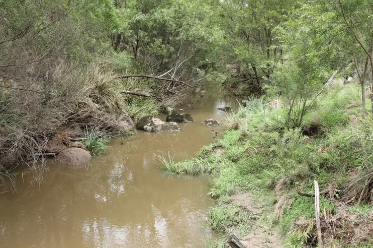 Fifth view of Homely rural property listing, 1704 Bald Rock Road, Tenterfield NSW 2372