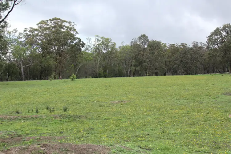 Sixth view of Homely rural property listing, 1704 Bald Rock Road, Tenterfield NSW 2372