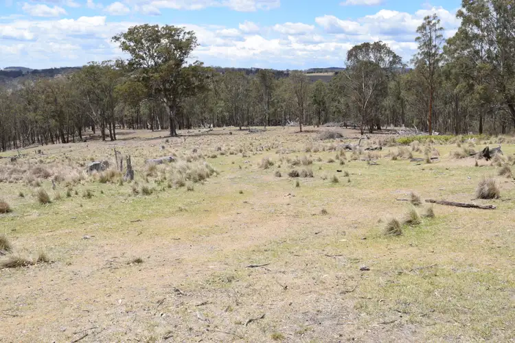 Second view of Homely rural property listing, 13419 Kempsey Road, Wollomombi NSW 2350