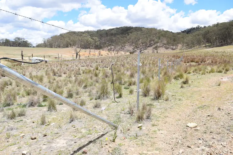 Sixth view of Homely rural property listing, 13419 Kempsey Road, Wollomombi NSW 2350