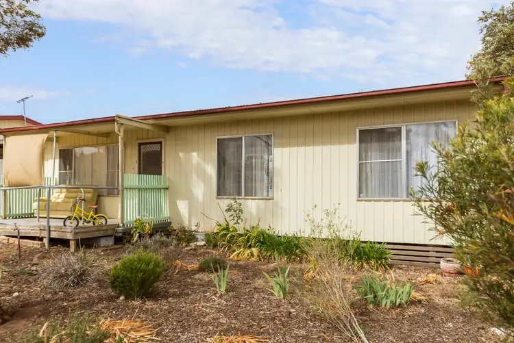 Main view of Homely house listing, 7 Shepherd Street, Freeling SA 5372