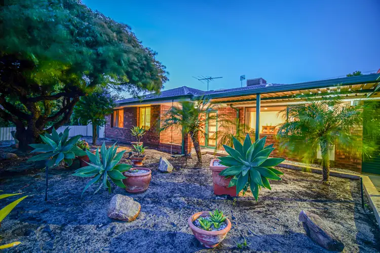 25 Hadley Gardens, Kardinya WA 6163