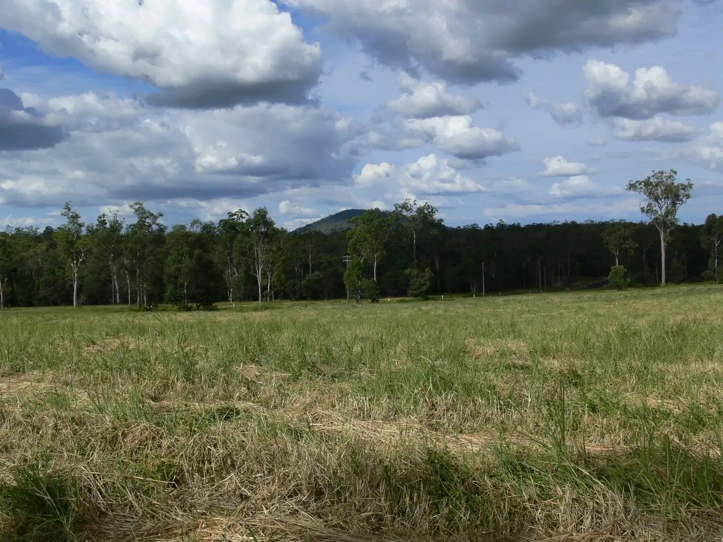 Main view of Homely rural property listing, Address available on request