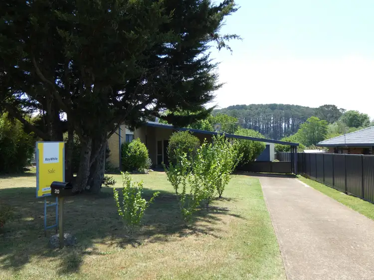 20 Oak Street, Dorrigo NSW 2453