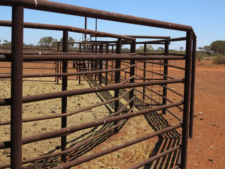 Fifth view of Homely rural property listing, Youno Downs Station, Meekatharra WA 6642