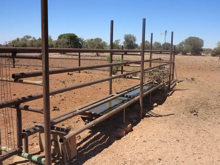 Sixth view of Homely rural property listing, Youno Downs Station, Meekatharra WA 6642