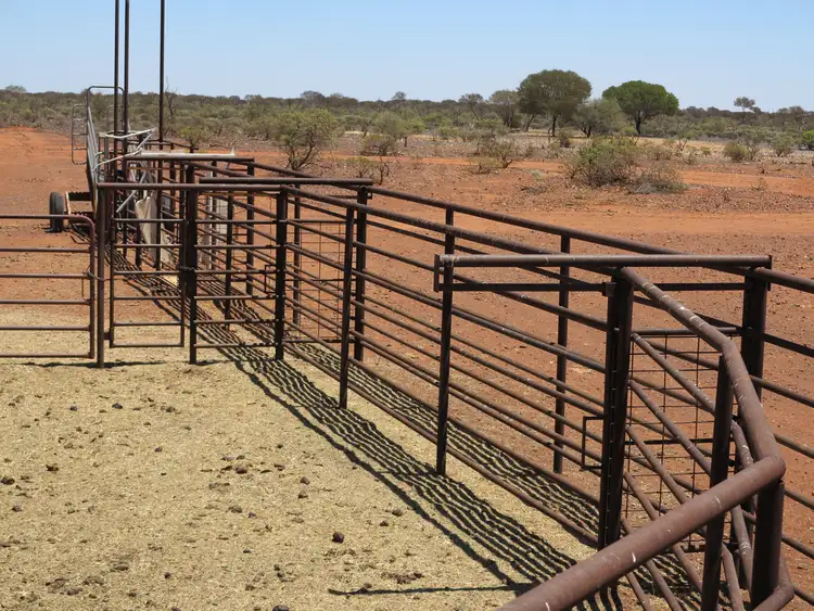 Seventh view of Homely rural property listing, Youno Downs Station, Meekatharra WA 6642