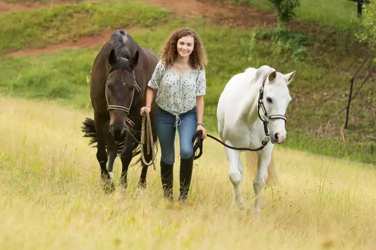 Sixth view of Homely house listing, 28-44 Glenmount Road, Mons QLD 4556