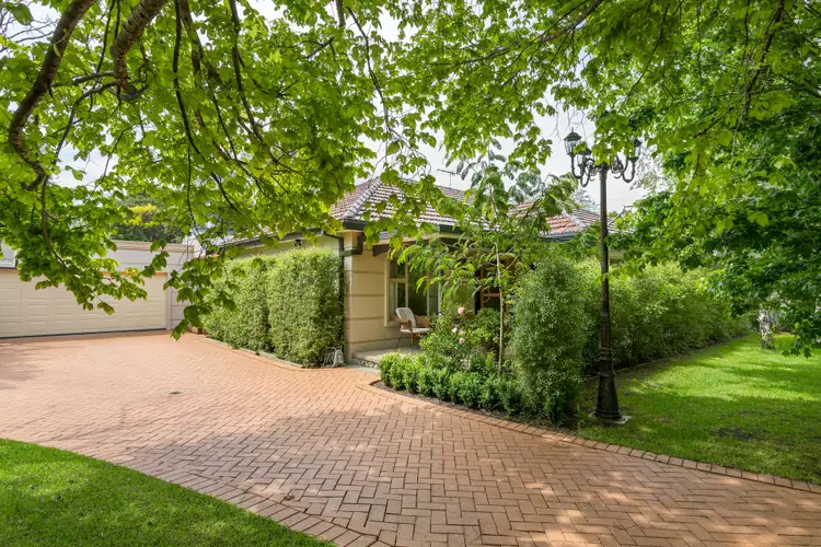 Main view of Homely house listing, 3 Halsey Street, Box Hill South VIC 3128