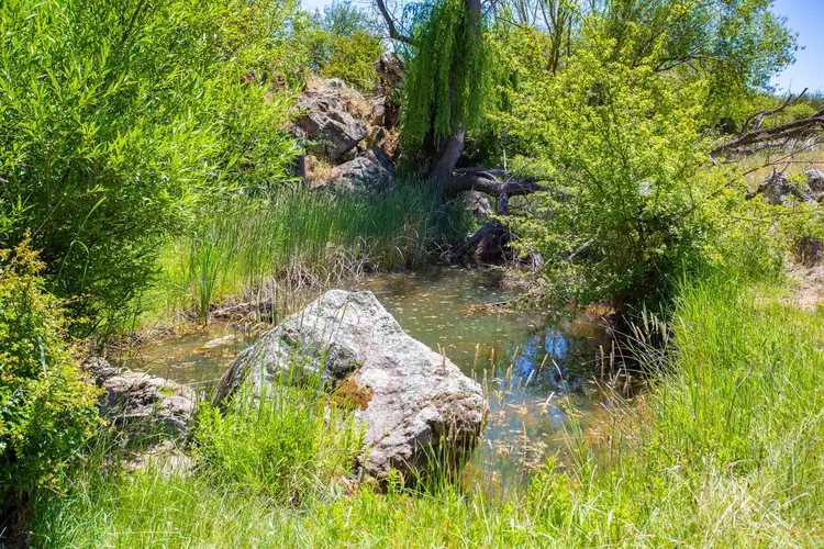 Fourth view of Homely house listing, 202 Yeumburra Road, Murrumbateman NSW 2582
