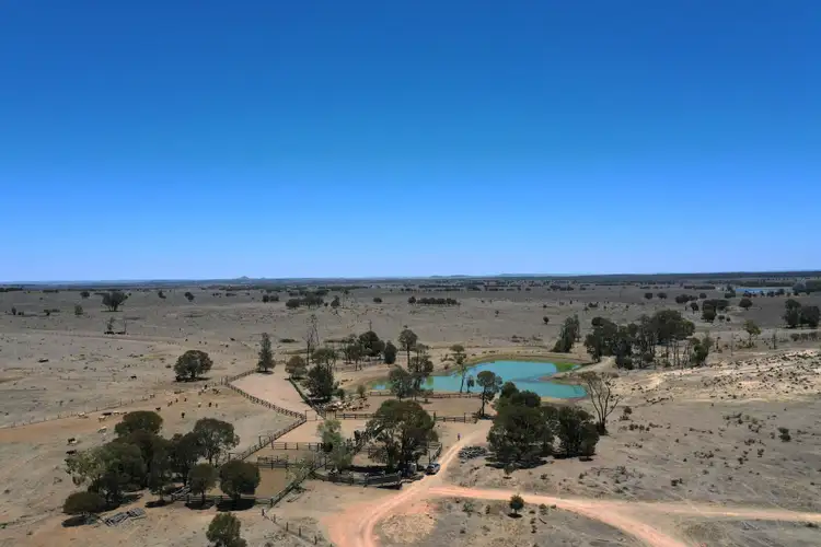 Fifth view of Homely rural property listing, 2982 Deearne Road, Cockatoo QLD 4419
