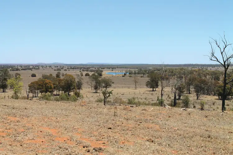 Sixth view of Homely rural property listing, 2982 Deearne Road, Cockatoo QLD 4419