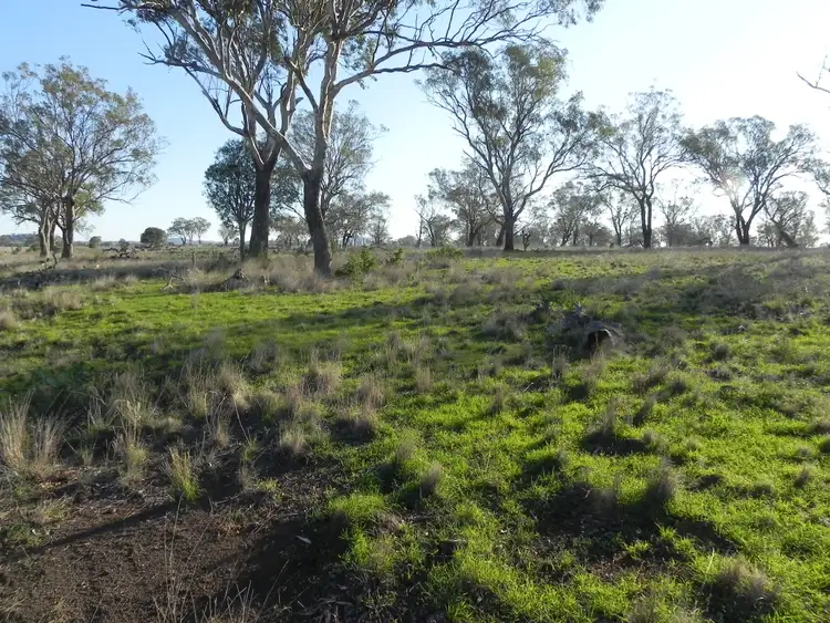 Main view of Homely rural property listing, 0 McGrath Road, Linthorpe, Biddeston QLD 4401
