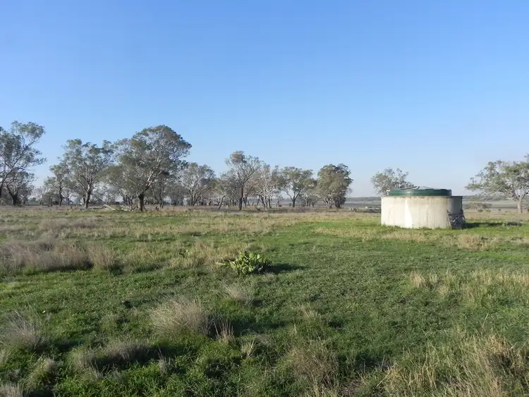 Fourth view of Homely rural property listing, 0 McGrath Road, Linthorpe, Biddeston QLD 4401