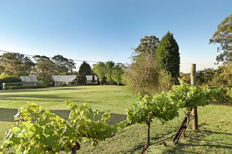 Fourth view of Homely rural property listing, 12-14 Charltons Creek Road, Berrilee NSW 2159