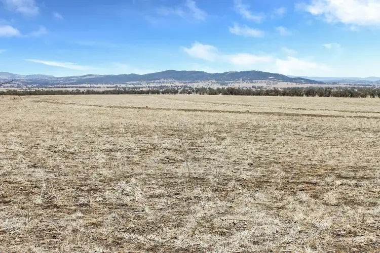 Main view of Homely rural property listing, 237 Porters Lane, Quirindi NSW 2343