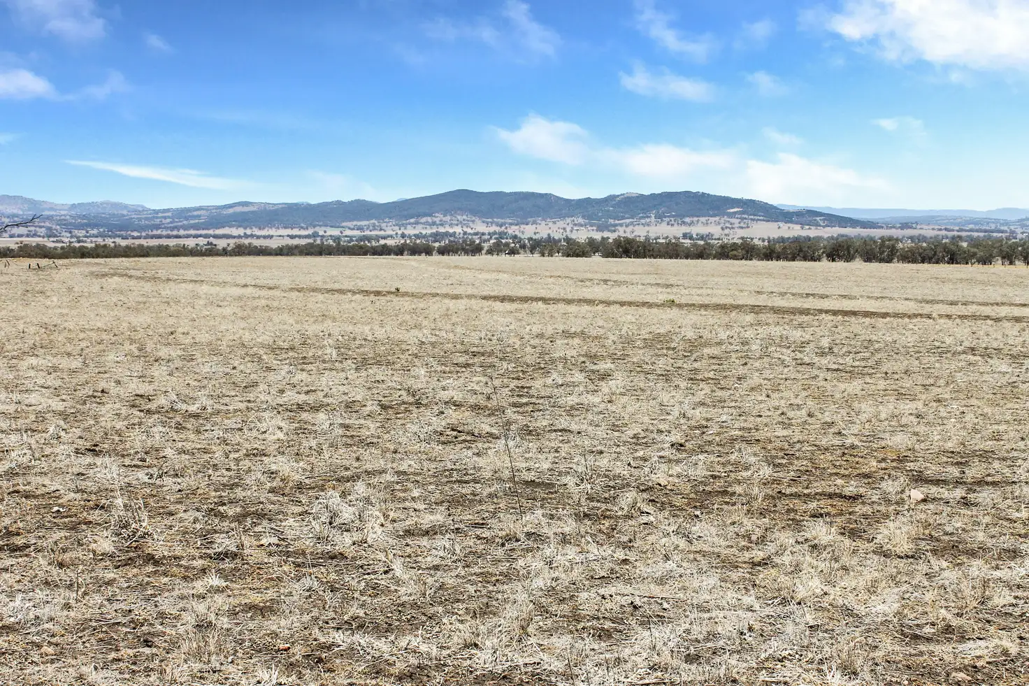 Main view of Homely rural property listing, 237 Porters Lane, Quirindi NSW 2343